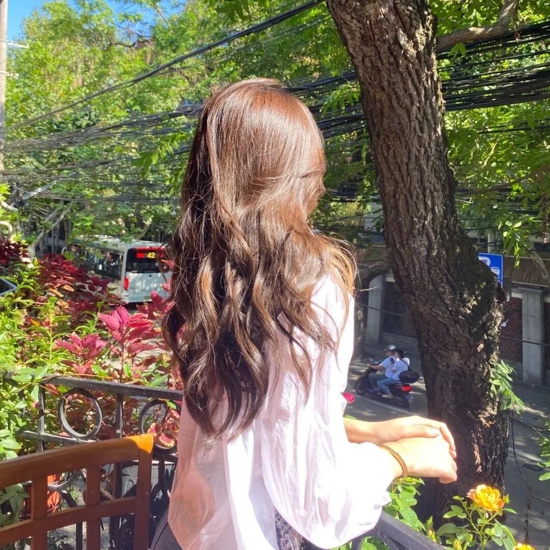 哑子吃黄莲